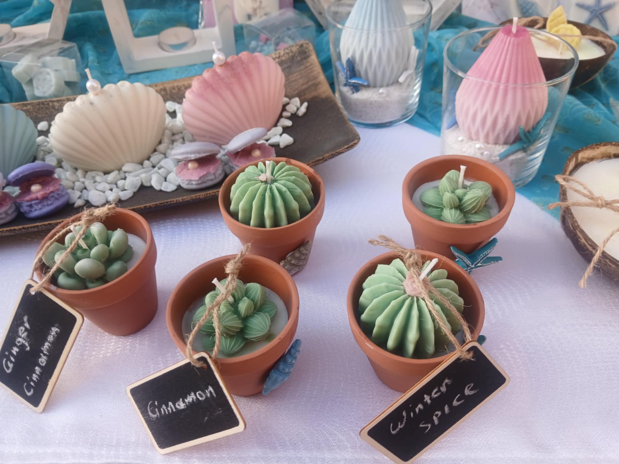cactus